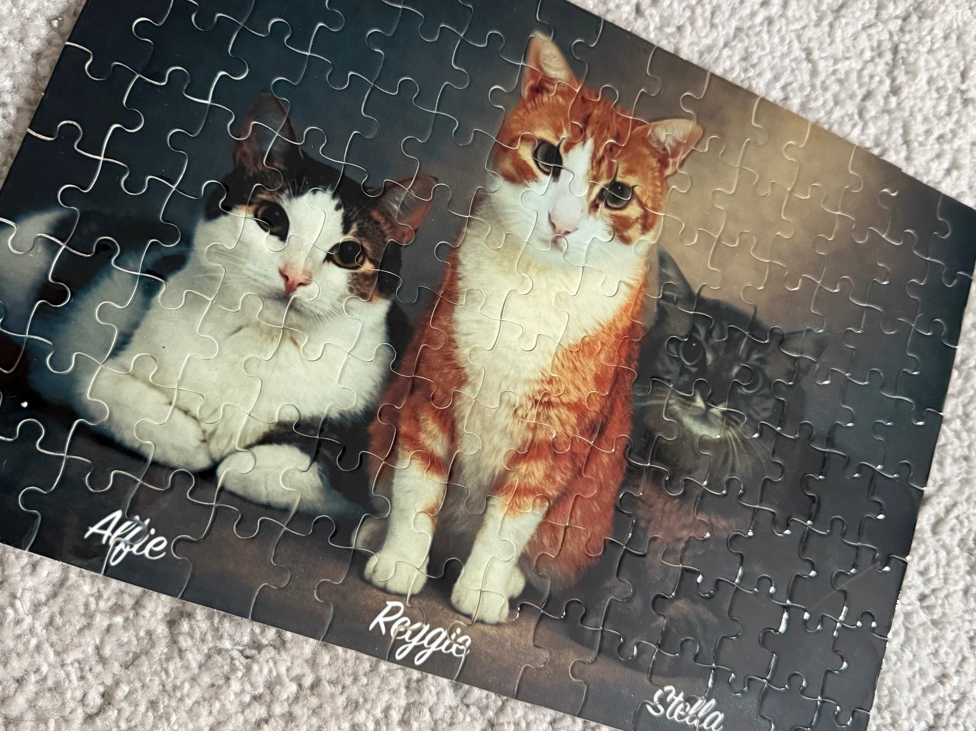 Custom Pet Photo Puzzle-Anastasi Gifts