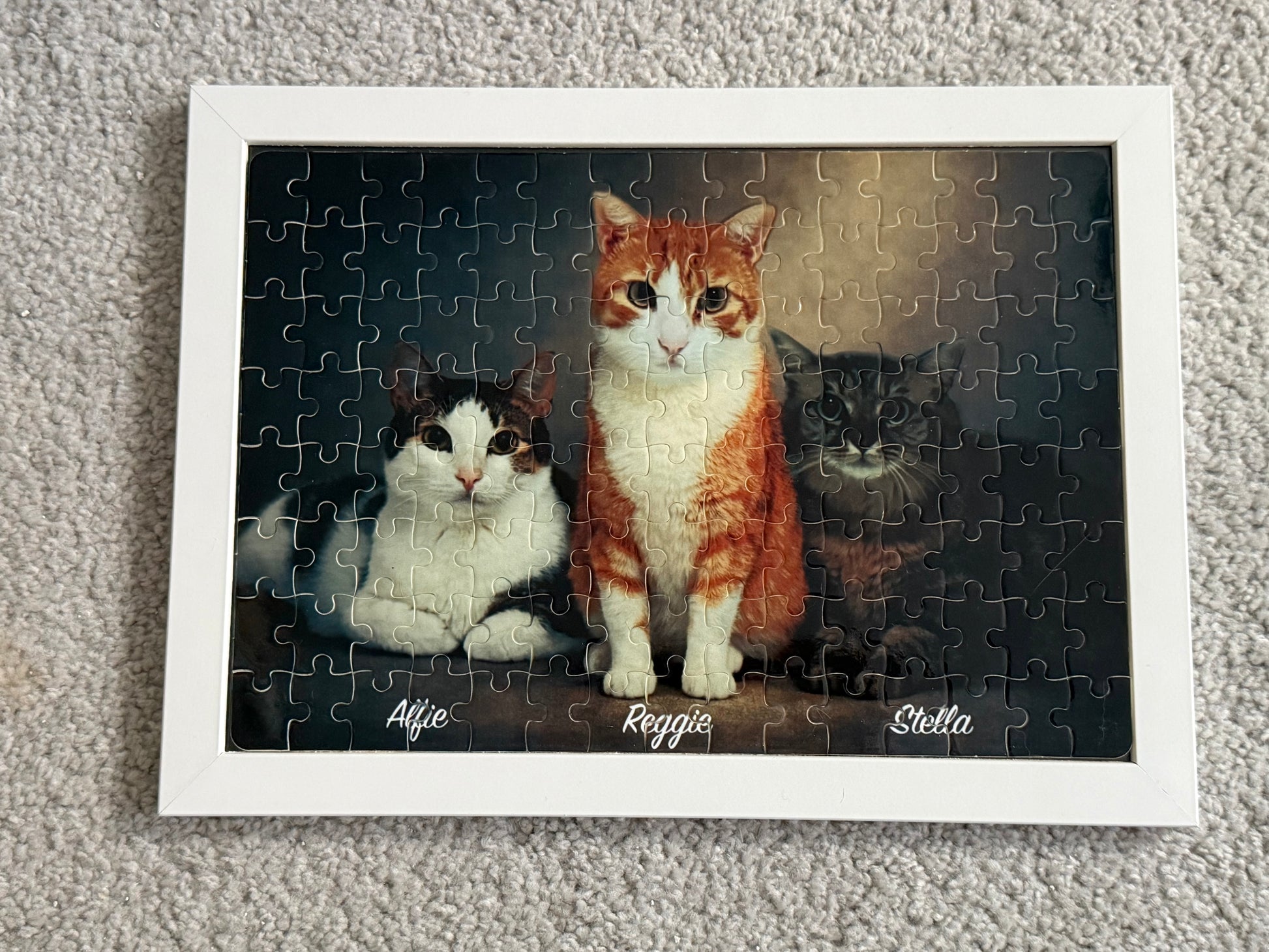 Custom Pet Photo Puzzle-Anastasi Gifts