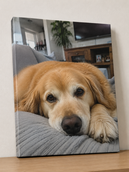 Pet Photo Canvas Print – 30x40cm