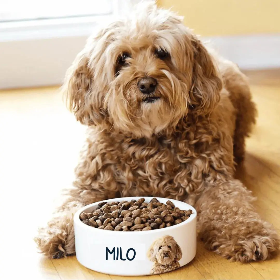 Photo Personalized Pet Bowl!-Anastasi Gifts
